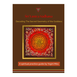 Śrī Yantra Sādhana - E book